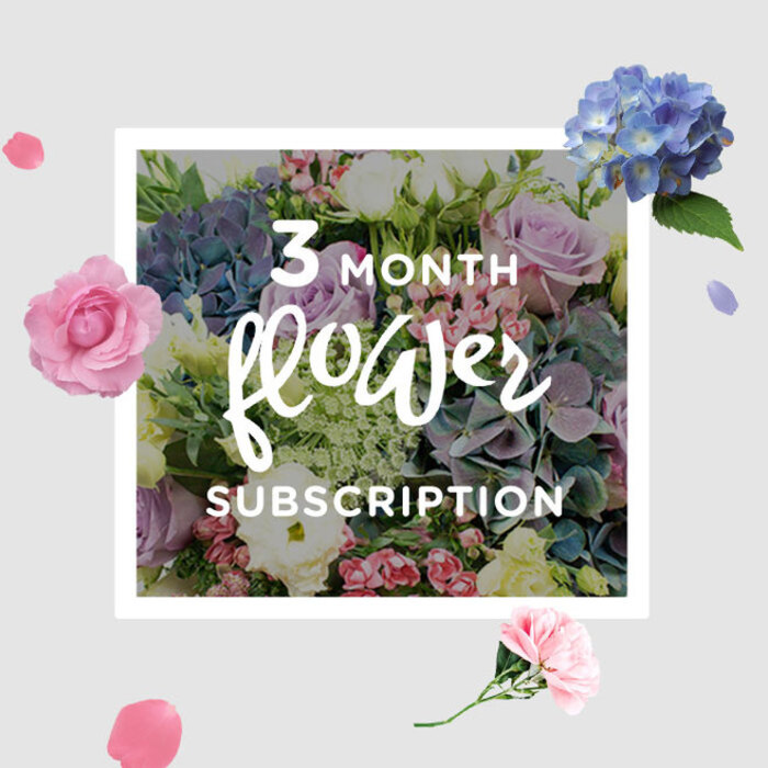 3-month_2.jpg