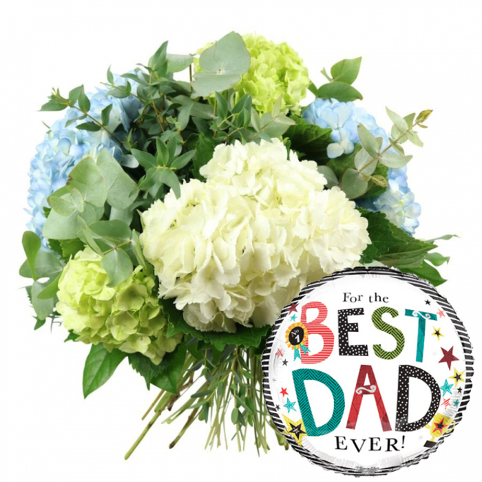 Best_dad_combo.jpg