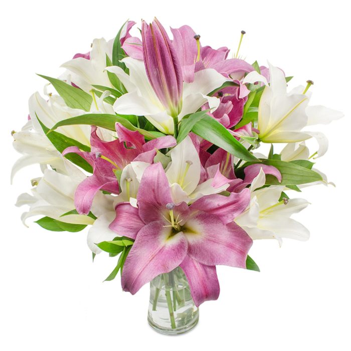 IMG_3175_Marvelous_blooms.jpg