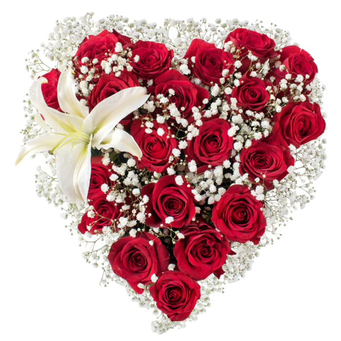 IMG_4283__.jpg