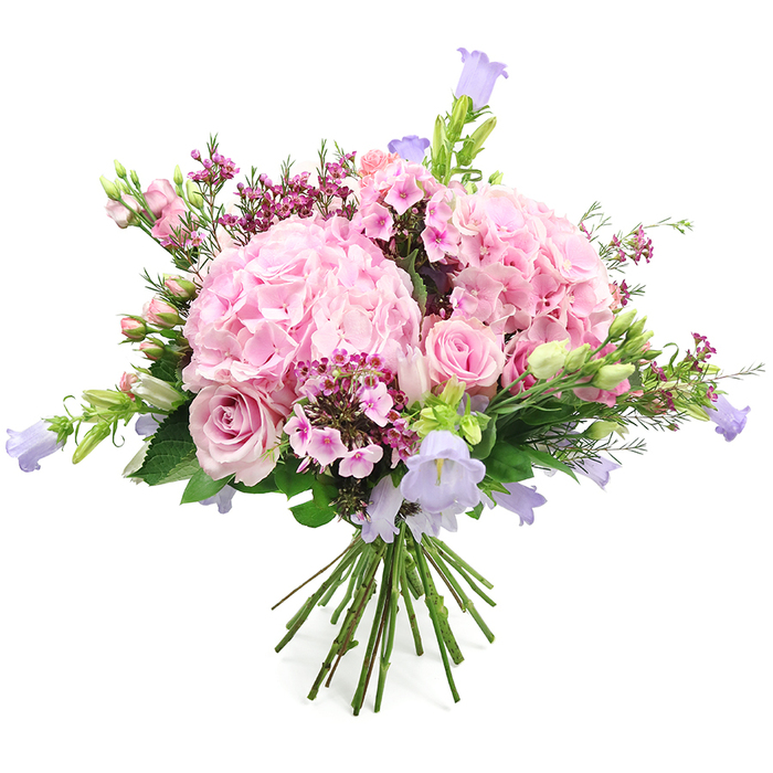 IMG_9727.jpg