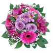 1495034856_l__MG_4887_-_Purple_Shades-900x900.jpg