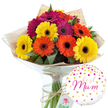 1552058699_l_1497009065_l__MG_4844_-_Sunny_Garden-900x900-and-balloon.jpg