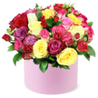 ALLURING-BLOOMS_2.jpg