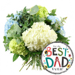 Best_dad_combo.jpg